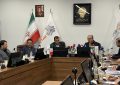 معوقات شاهین